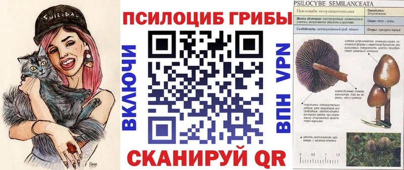 omg рабочий сайт  Ковдор  Галлюциногенные грибы мицелий 
